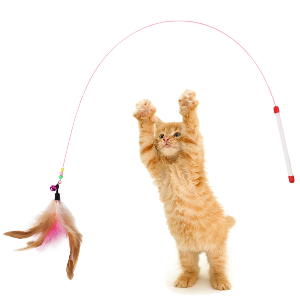 Feather Wand Toy