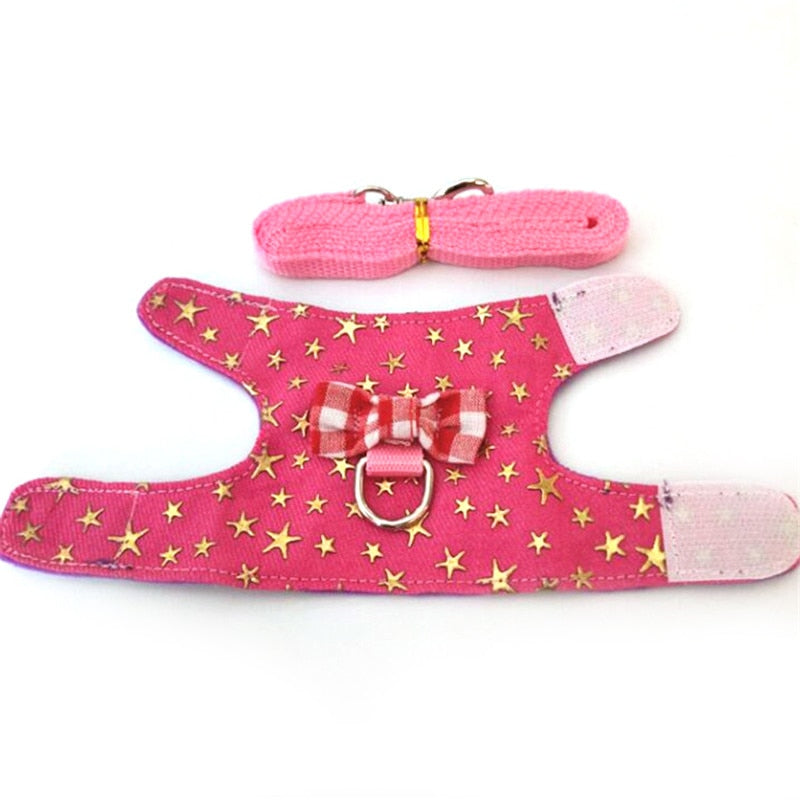 Small Animal Harness and Leash Set