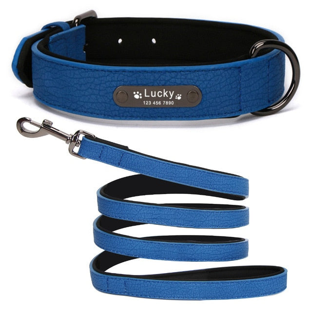 Personalized Leather Dog Collar and Leash