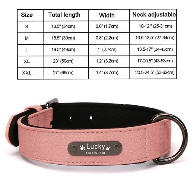 Personalized Leather Dog Collar and Leash