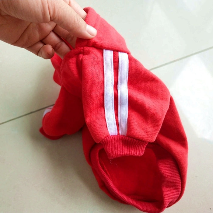 Stylish Dog Sweatshirt