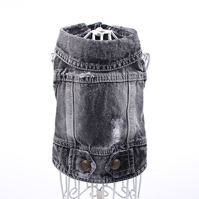 Black Denim Style Jean Jacket For Dog