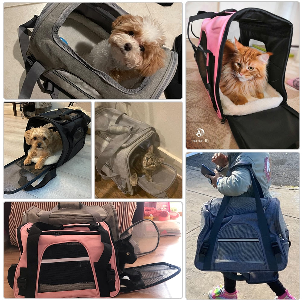 Dog Carrier With Mesh Window