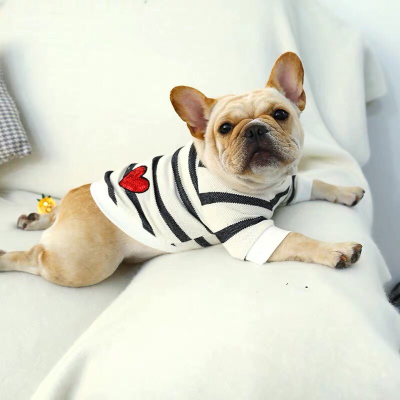 Stylish Striped Dog Shirt