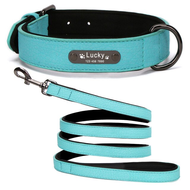 Personalized Leather Dog Collar and Leash