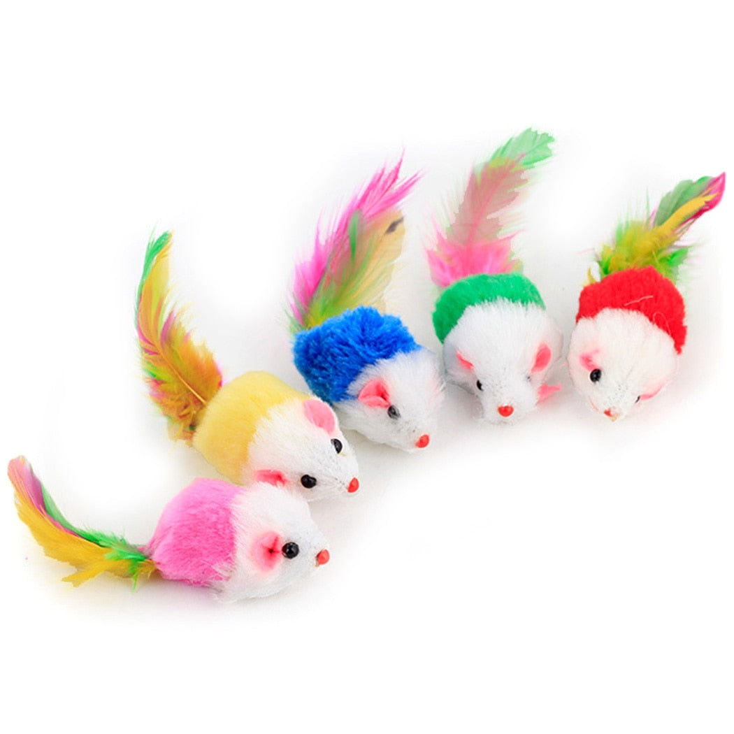 Feather Wand Toy