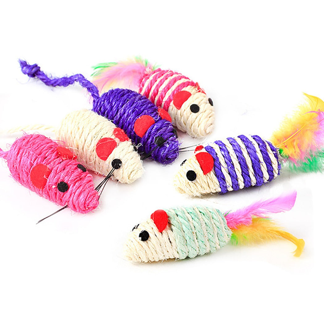 Feather Wand Toy