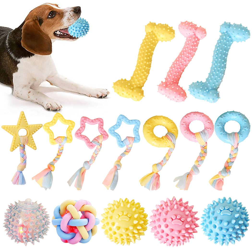 Rubber Dog Toy