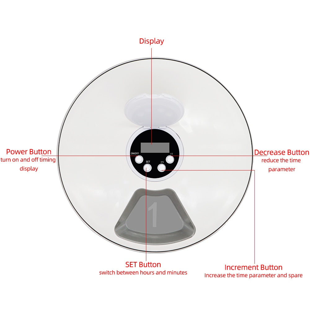 Automatic Pet Feeder