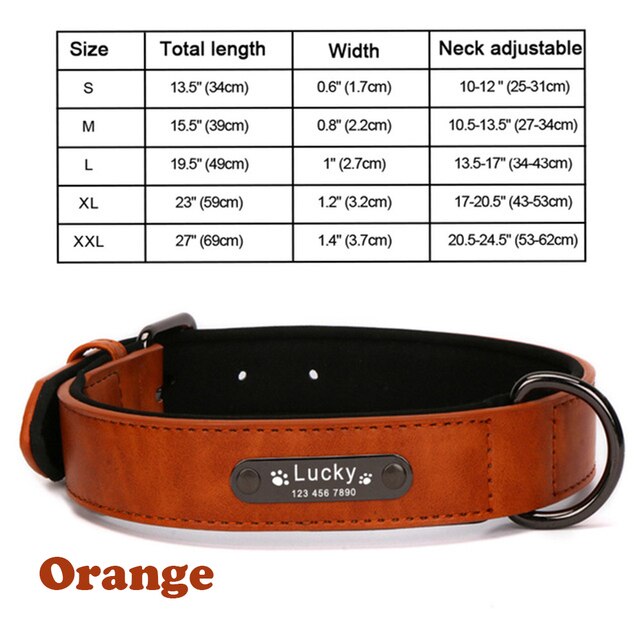 Personalized Leather Dog Collar and Leash