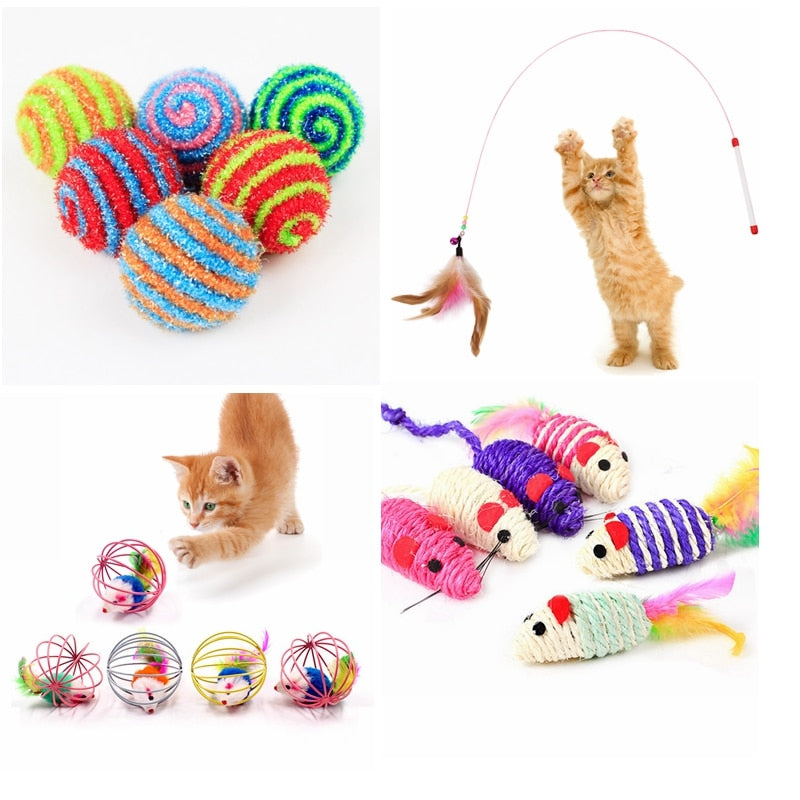 Feather Wand Toy