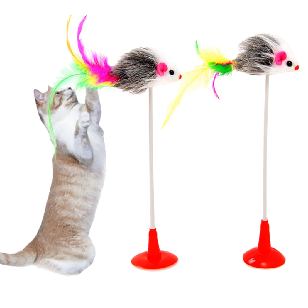 Feather Wand Toy