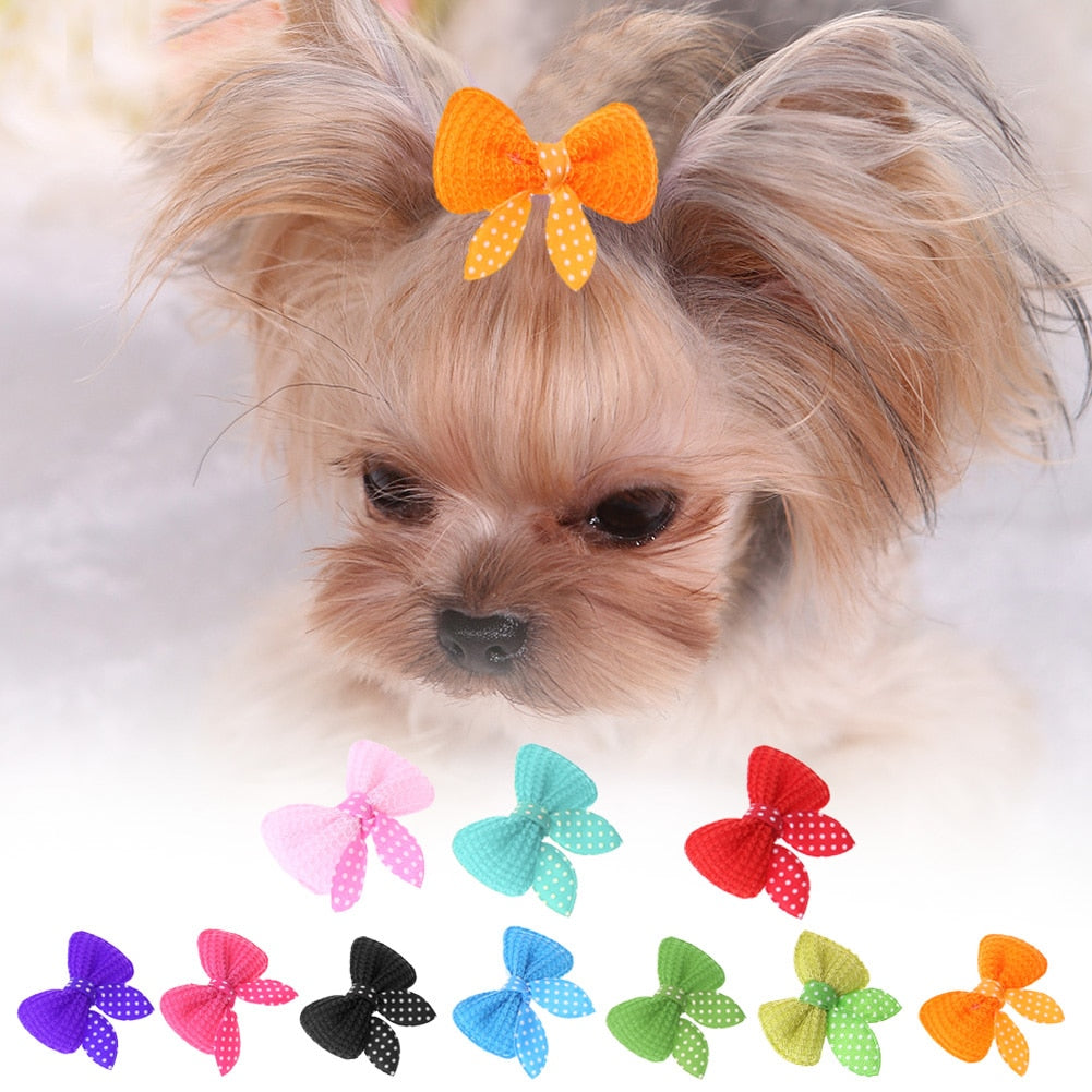 10-30pcs Pet Hair Clip Bow