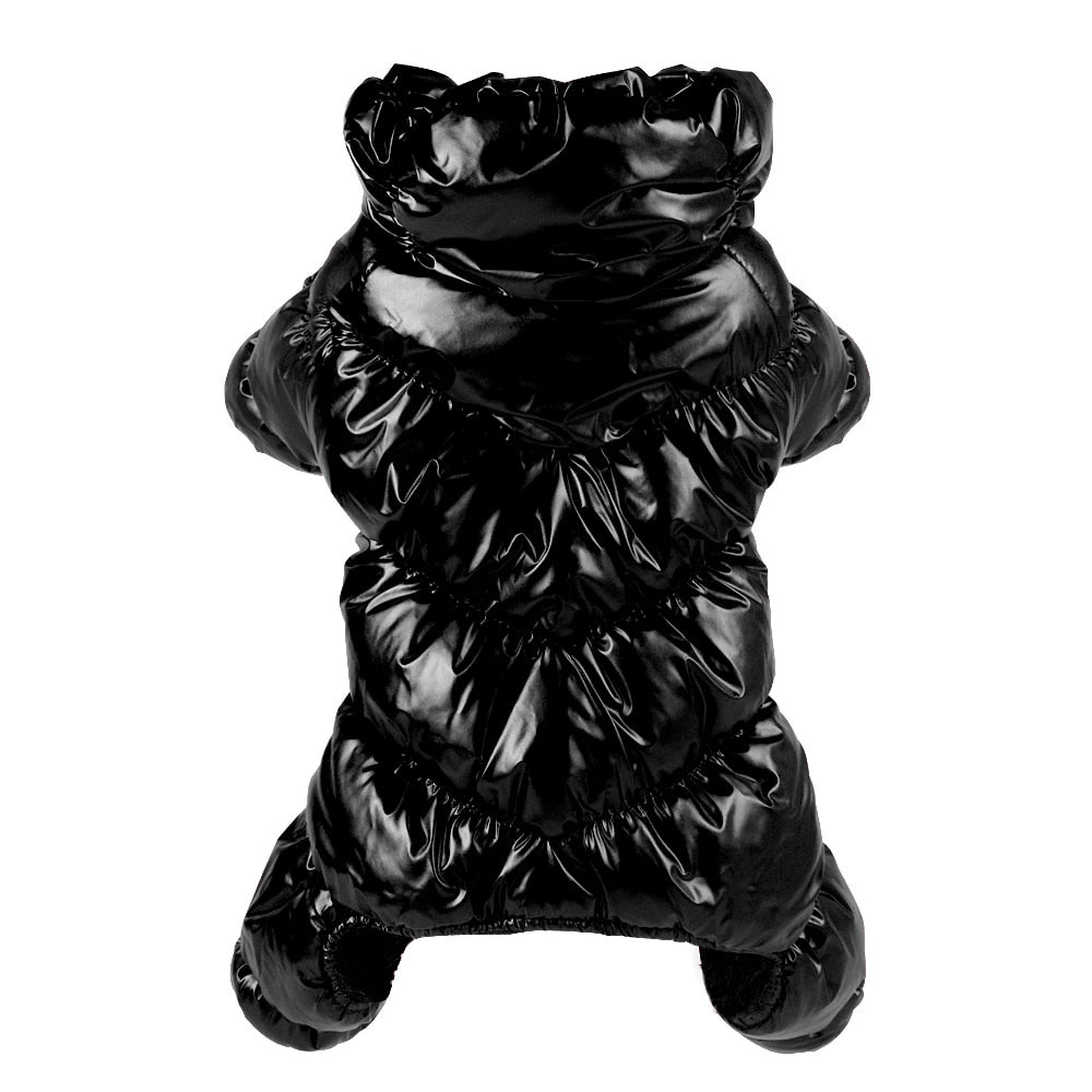 Warm Winter Snowsuit