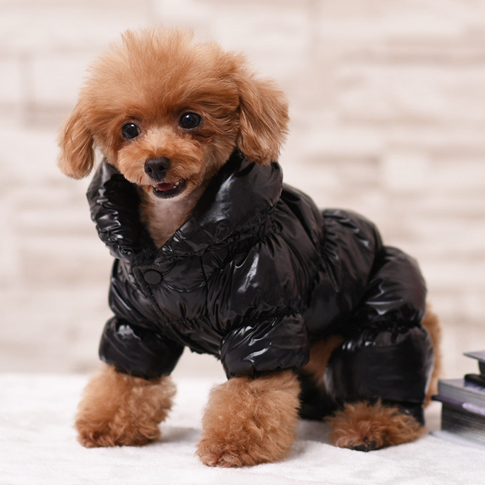 Warm Winter Snowsuit