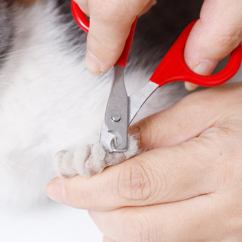 1PC Nail Grooming Scissors