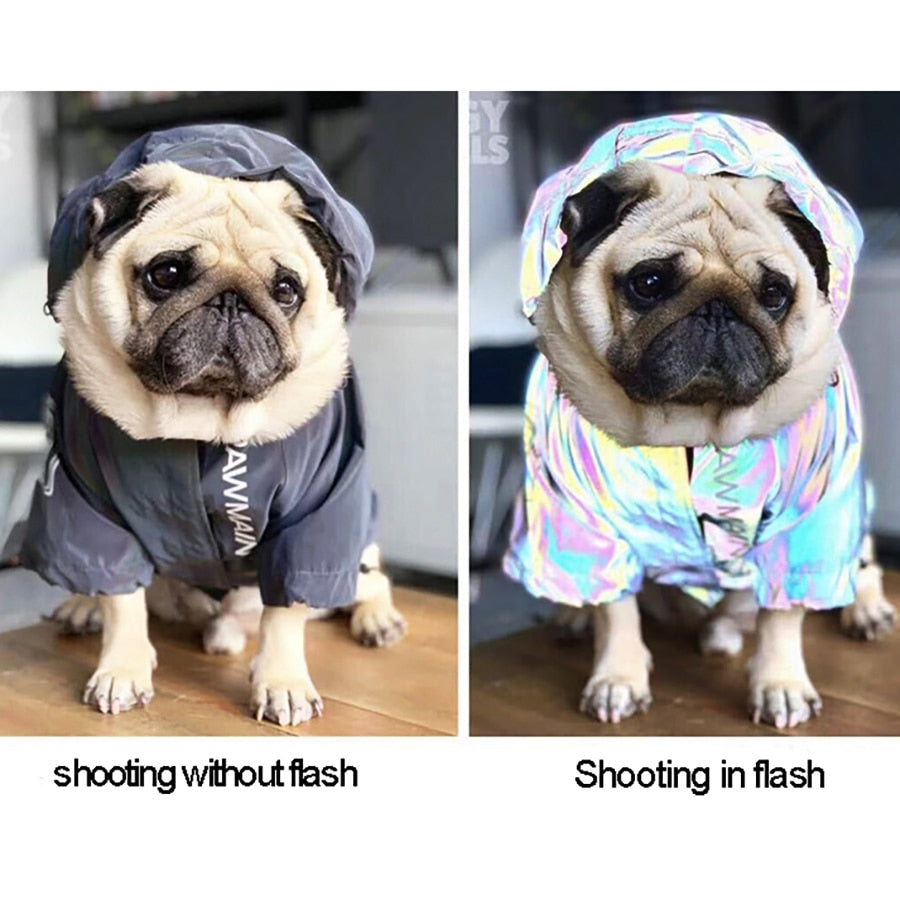 Reflective Waterproof Pet Jacket