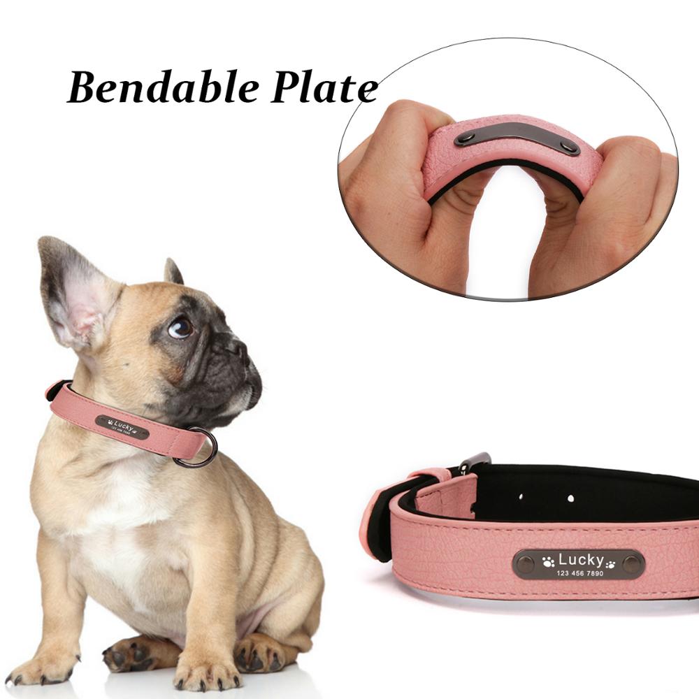 Personalized Leather Dog Collar and Leash