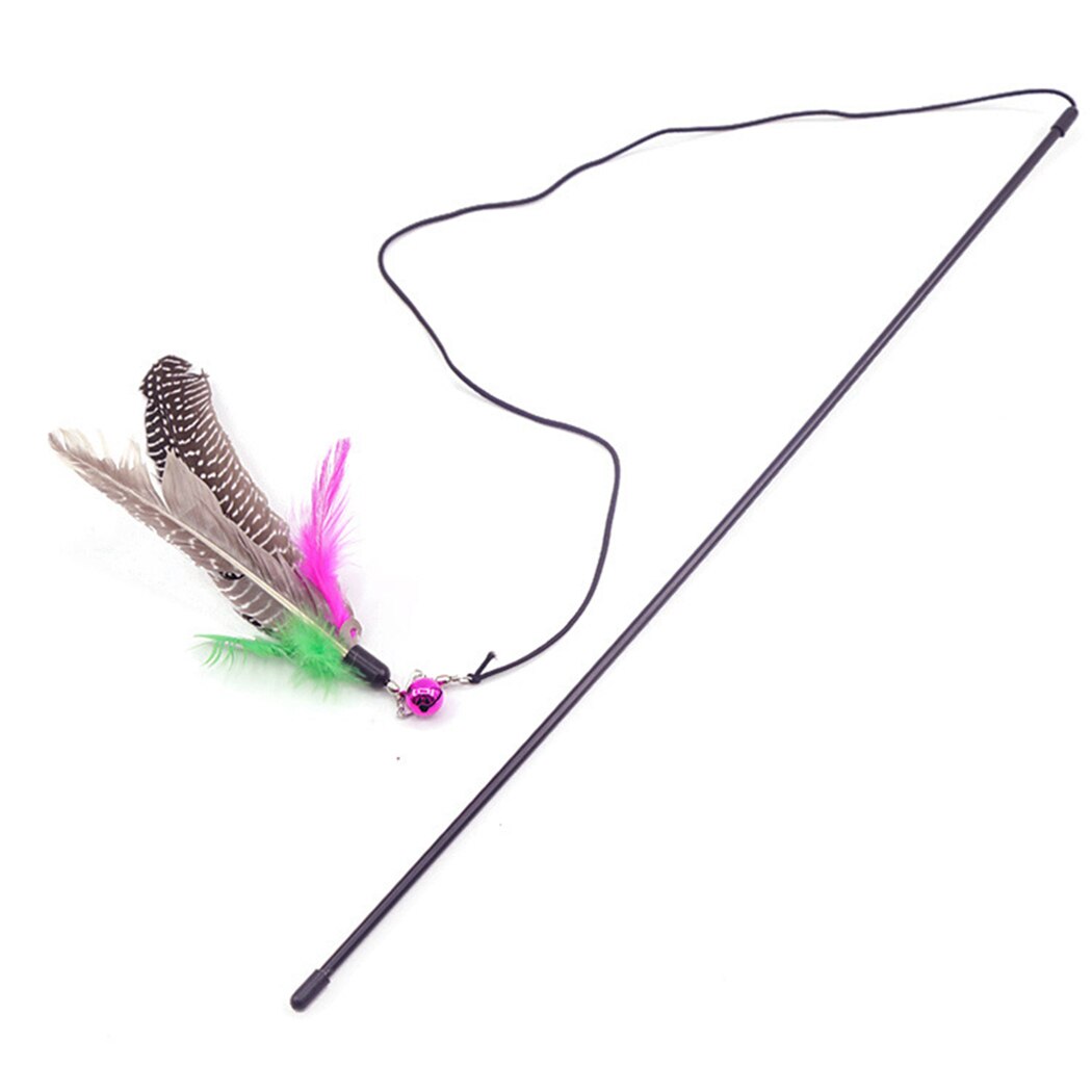 Feather Wand Toy
