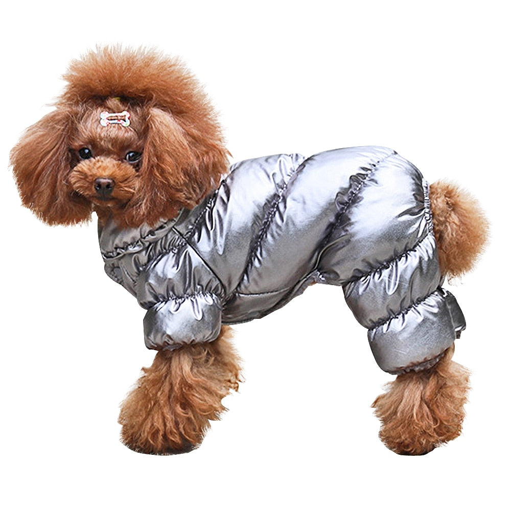 Warm Winter Snowsuit