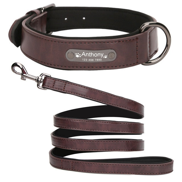 Personalized Leather Dog Collar and Leash