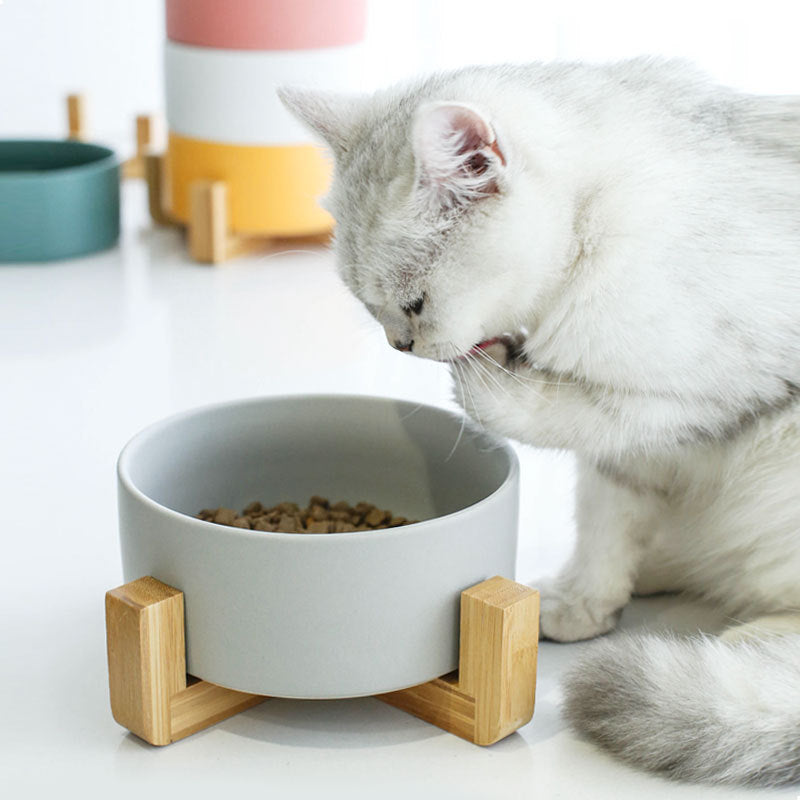 Ceramic Pet Bowl Single/Double w/wo Stand