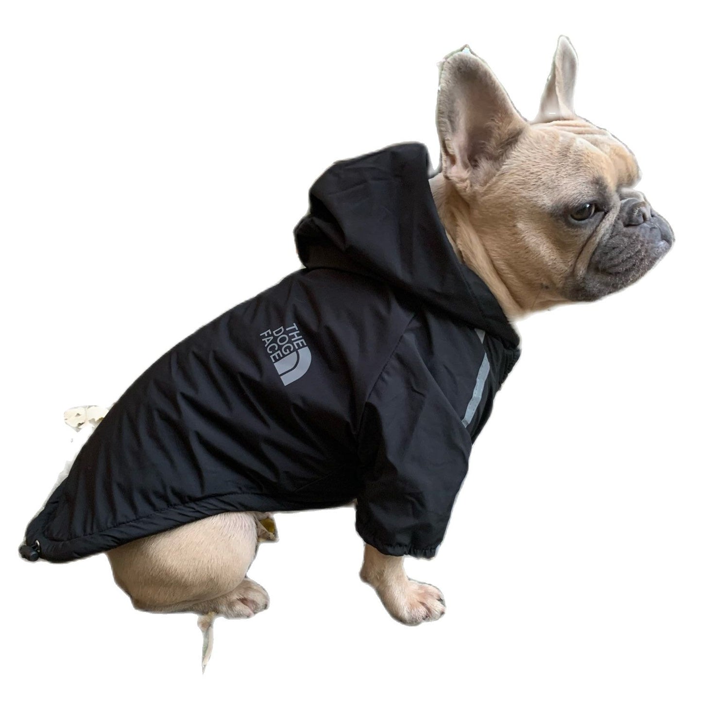 Pet Dog Coat - The Dog Face