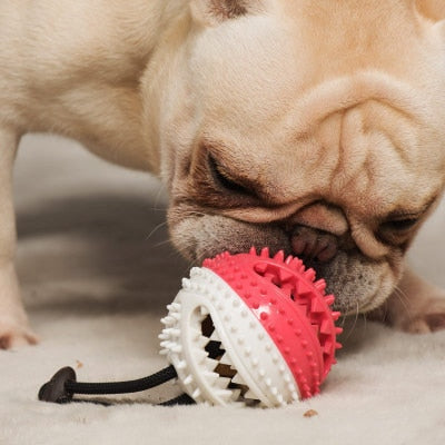 Silicone Suction Cup Tug Interactive Dog Ball
