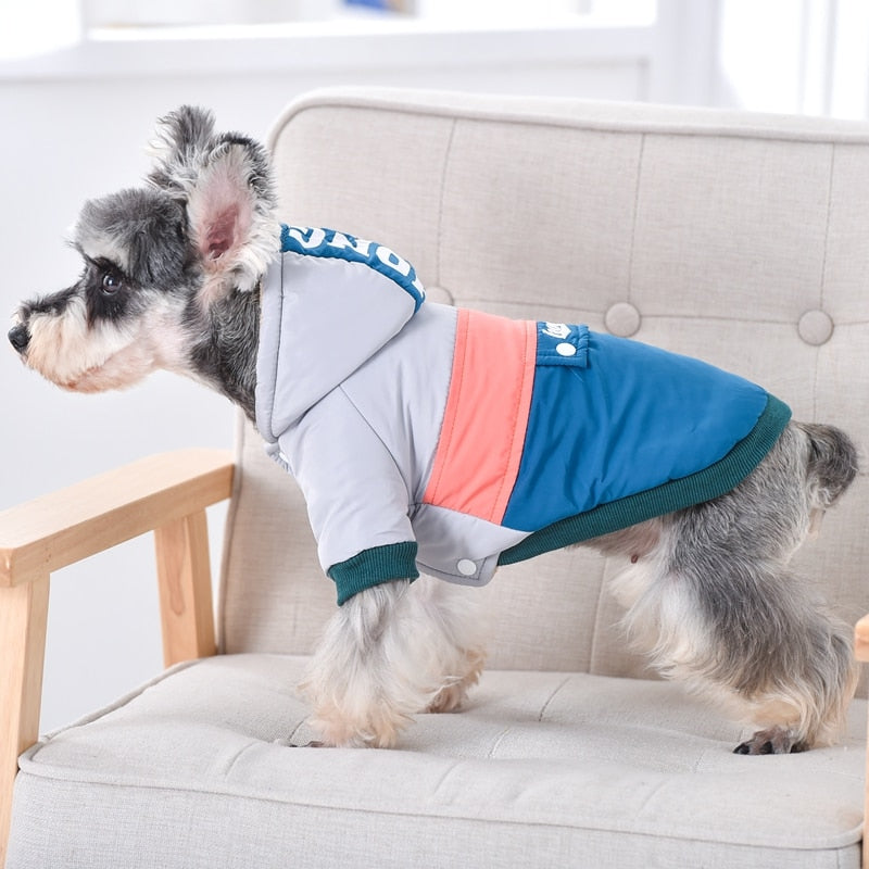 Stylish Winter Dog Coat
