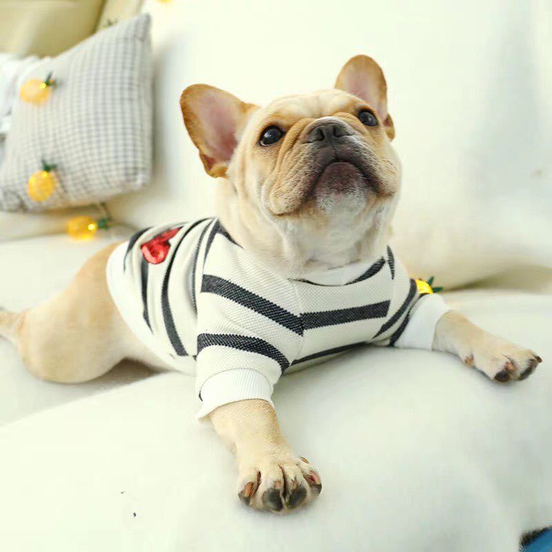 Stylish Striped Dog Shirt