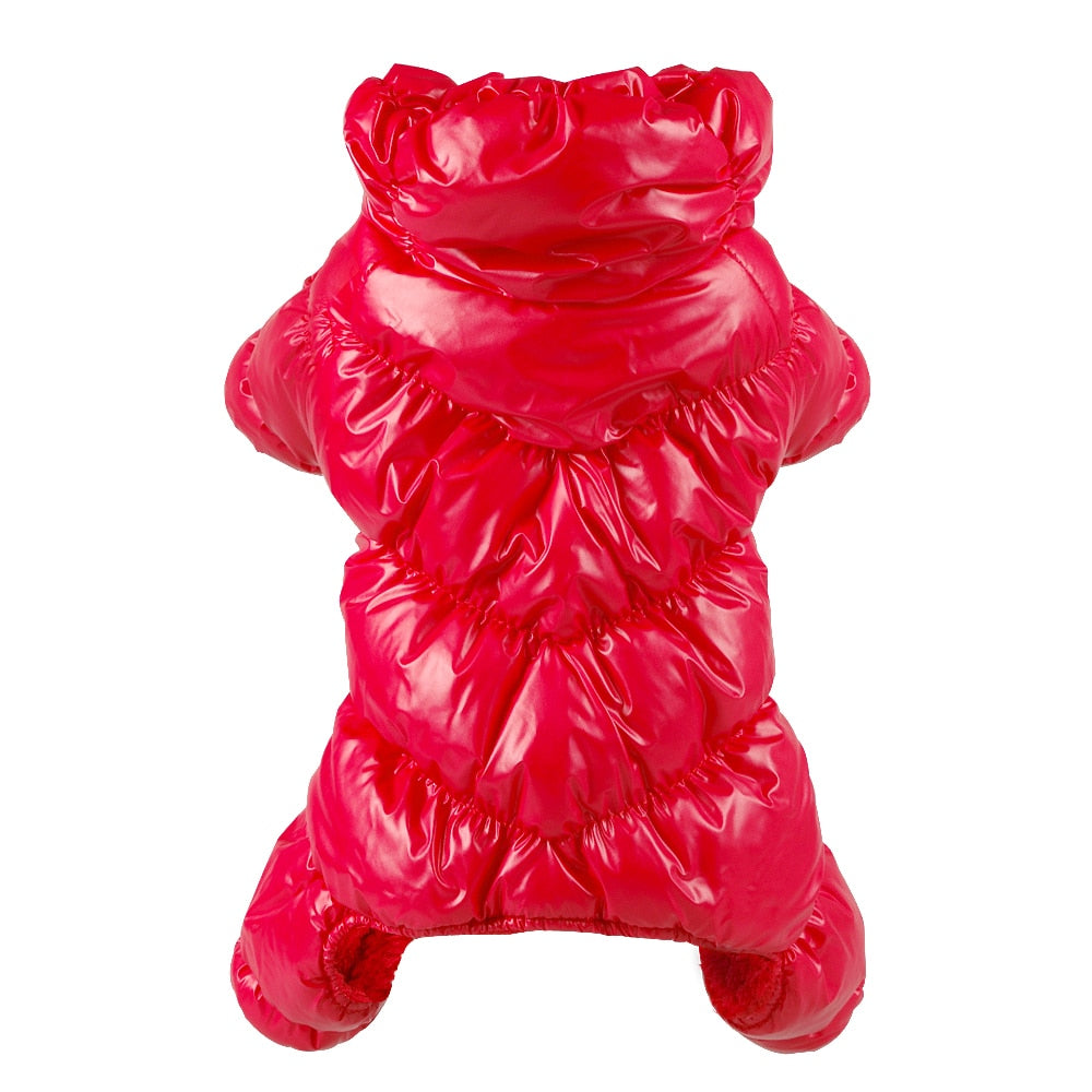Warm Winter Snowsuit