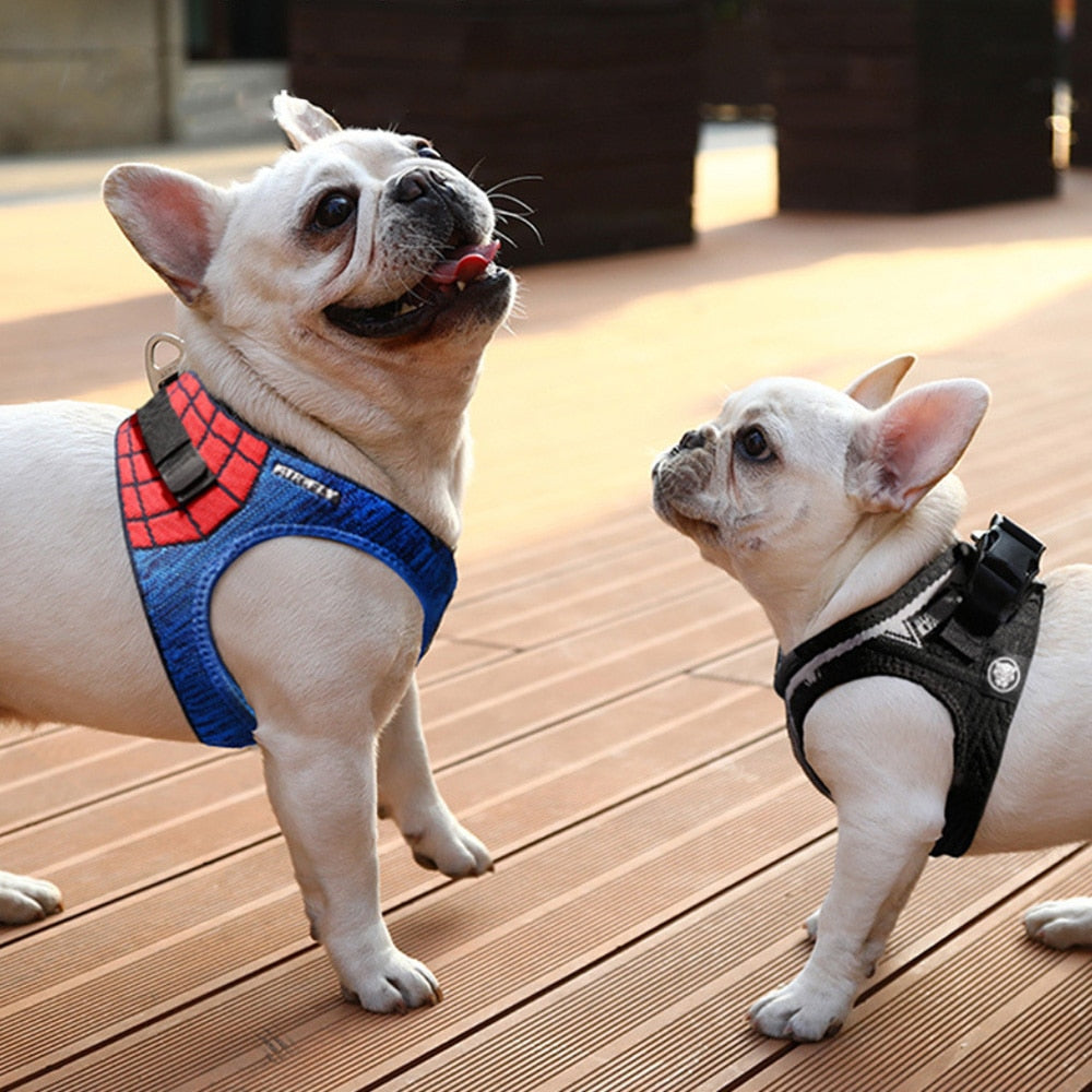 Superhero Series Dog/Cat Adjustable Harness