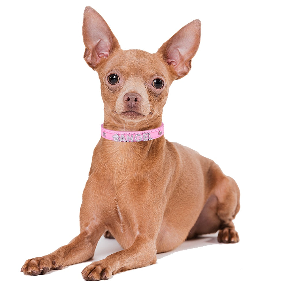 Personalized Rhinestone Dog Collar