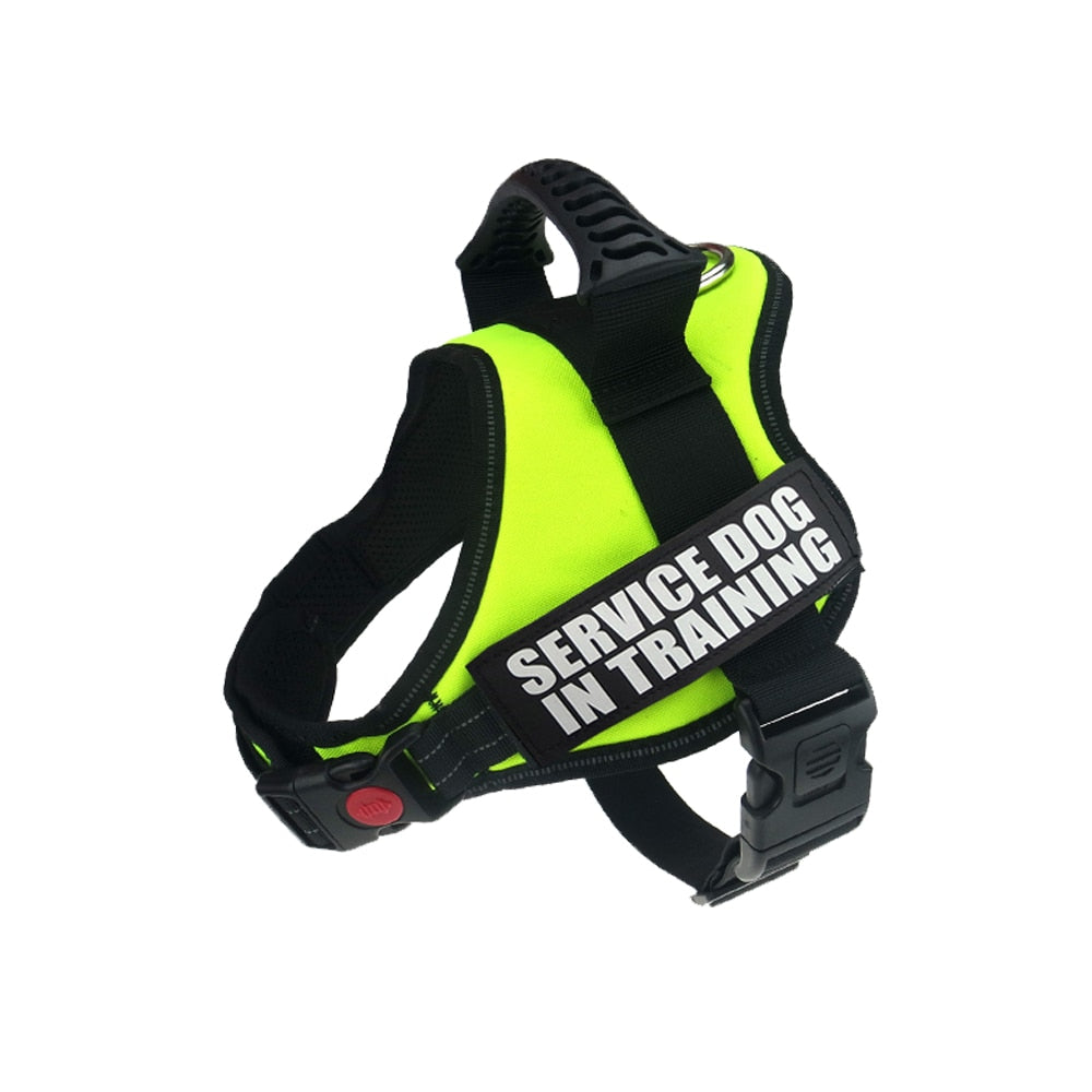 Reflective Dog Harness and Leash