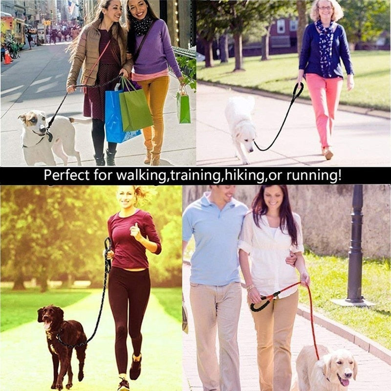 Reflective Dog Leash