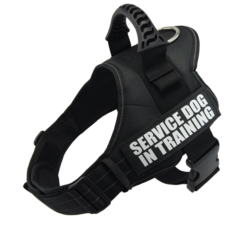 Reflective Dog Harness and Leash