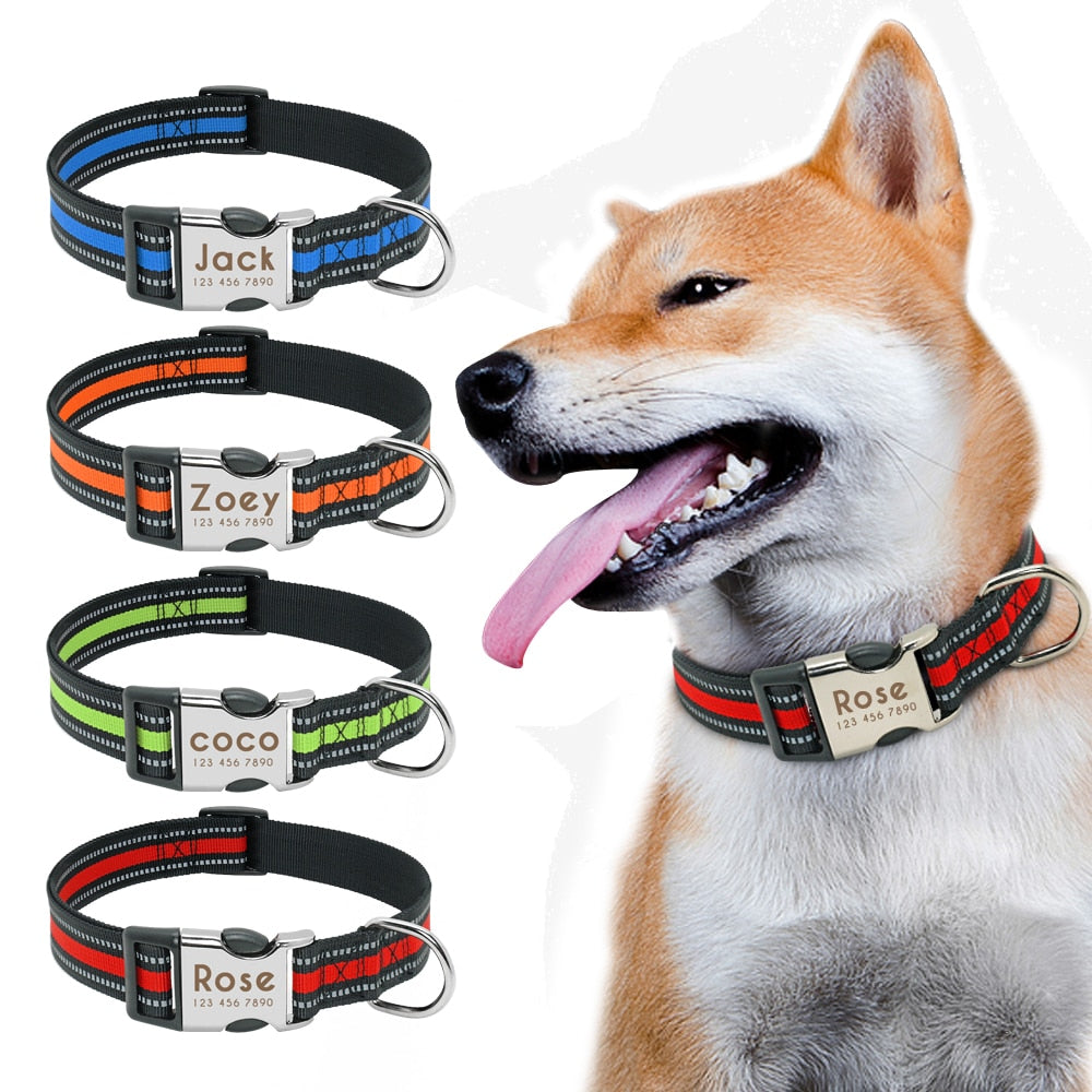 Personalized Pet Collar With Engraved Nameplate