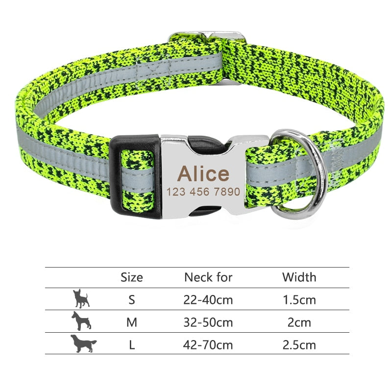 Personalized Pet Collar With Engraved Nameplate