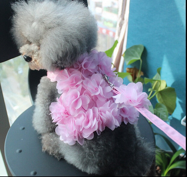 Fashionable Pet Harness