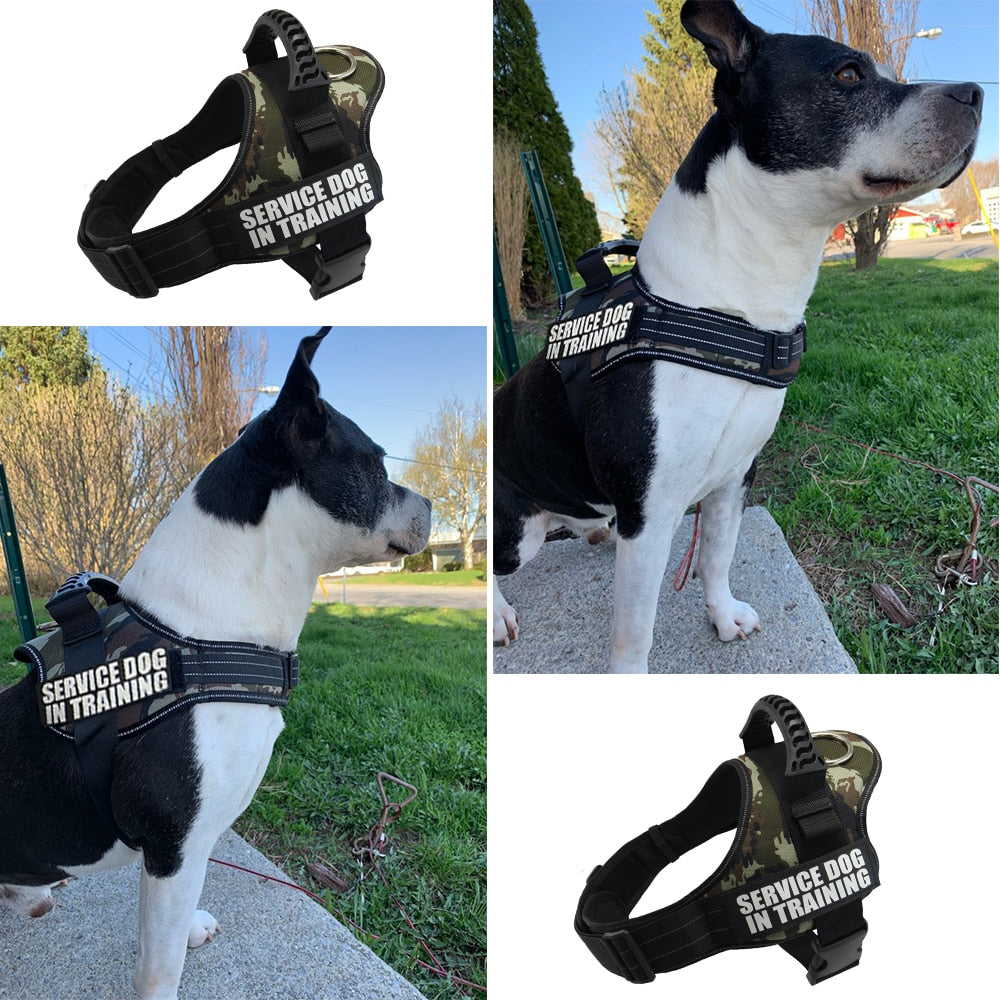 Reflective Dog Harness and Leash