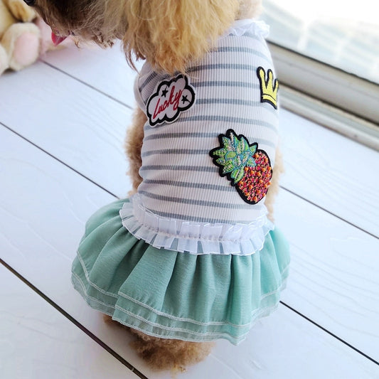 Pet Dress
