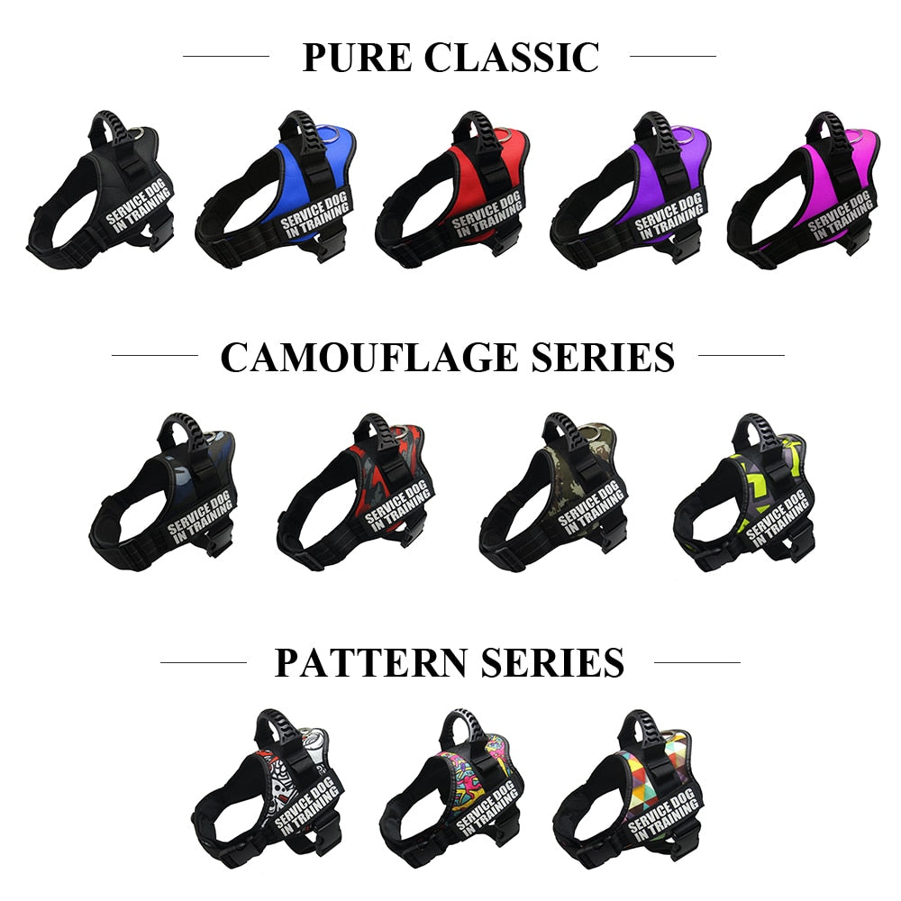Reflective Dog Harness and Leash