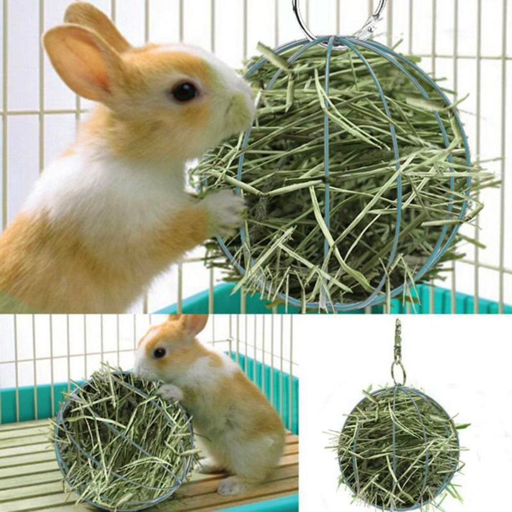 Hay Manger Food Ball