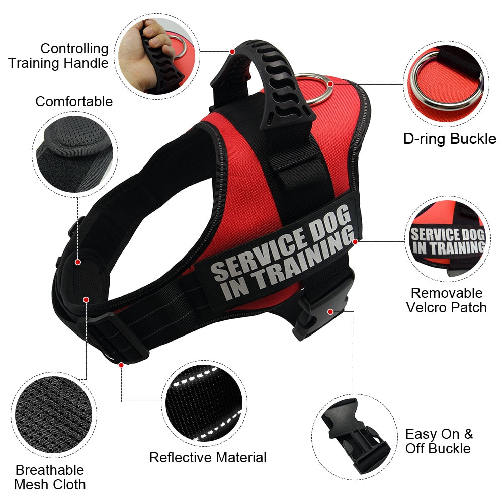 Reflective Dog Harness and Leash
