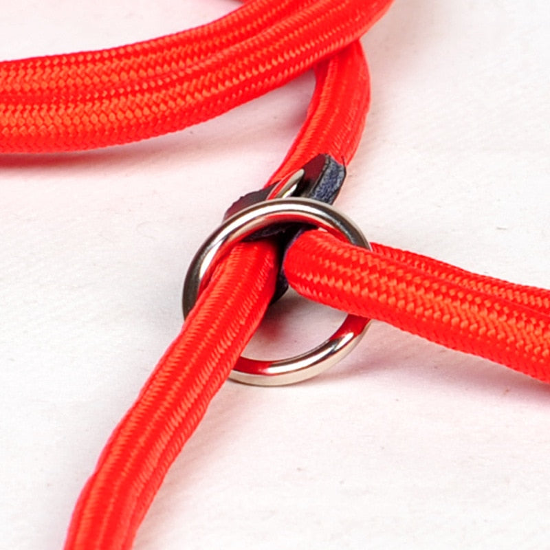 HOOPET Dog Traction Rope Leash