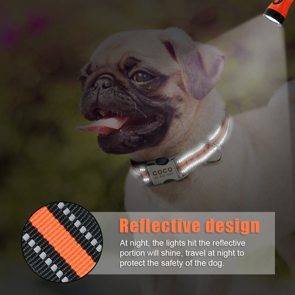 Personalized Pet Collar With Engraved Nameplate