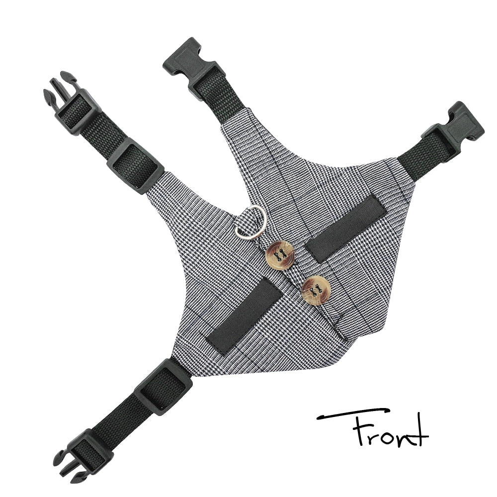 Small Animal Harness and Leash