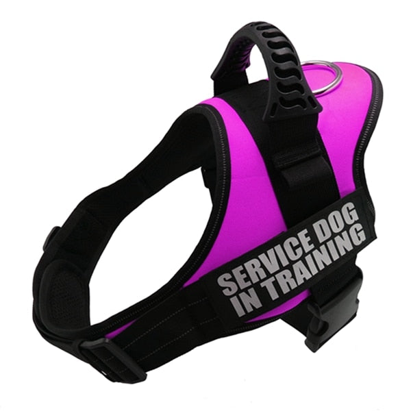 Reflective Dog Harness and Leash