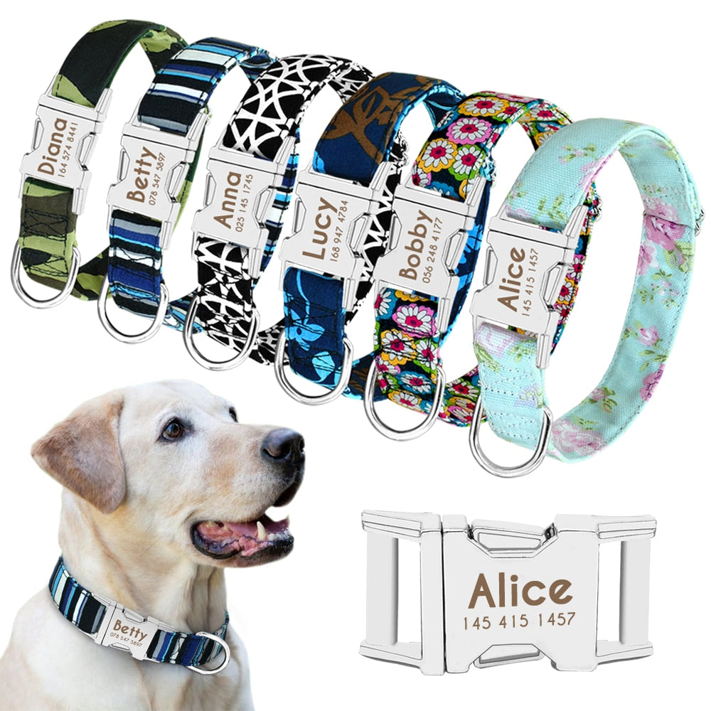 Personalized Pet Collar With Engraved Nameplate