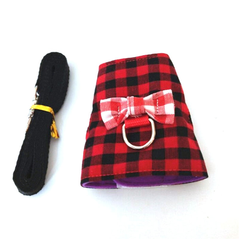 Small Animal Harness and Leash Set